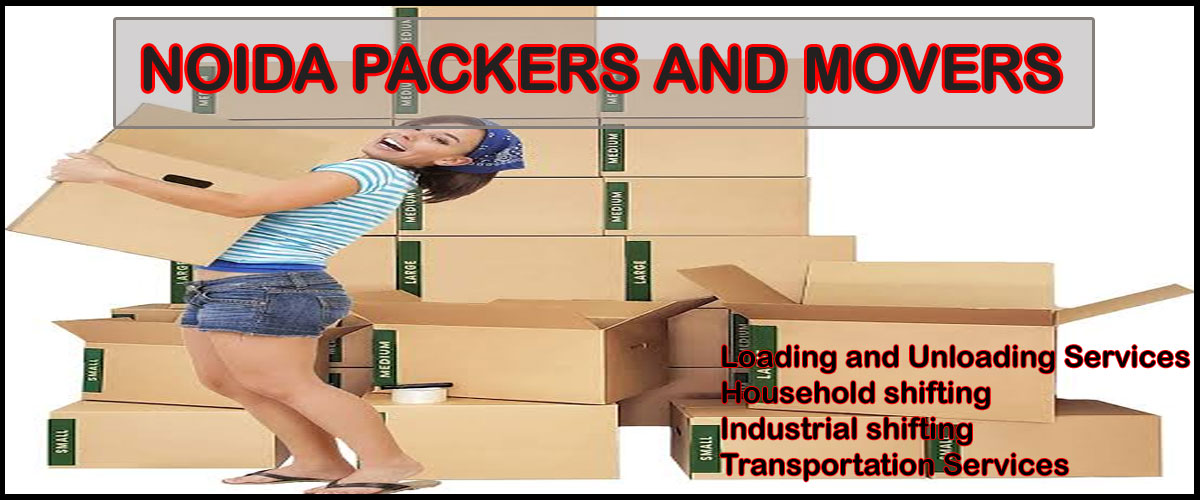 Noida Packers Movers Sector - 101