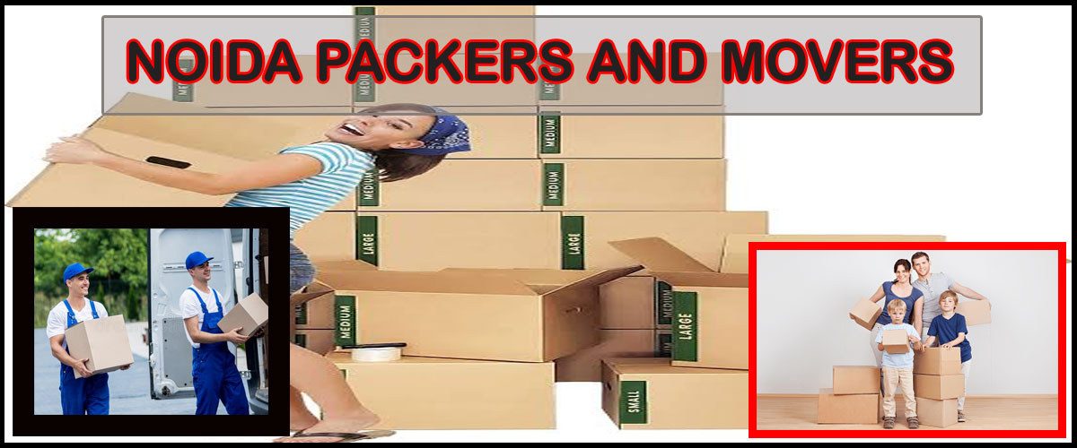 Noida Packers Movers Sector - 102