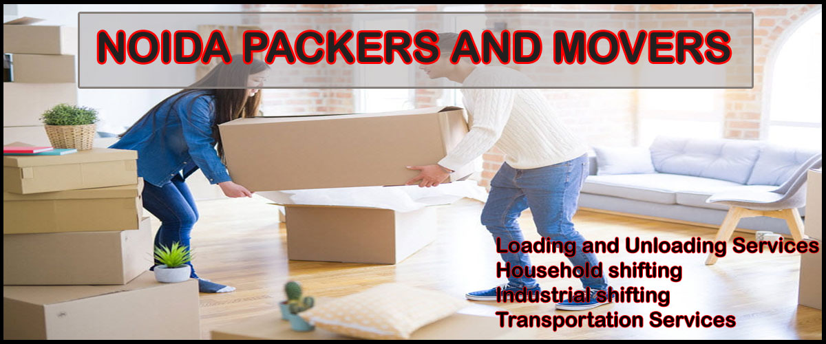 Noida Packers Movers Sector - 113