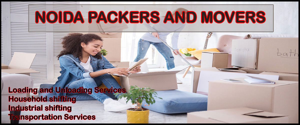 Noida Packers Movers Sector - 132