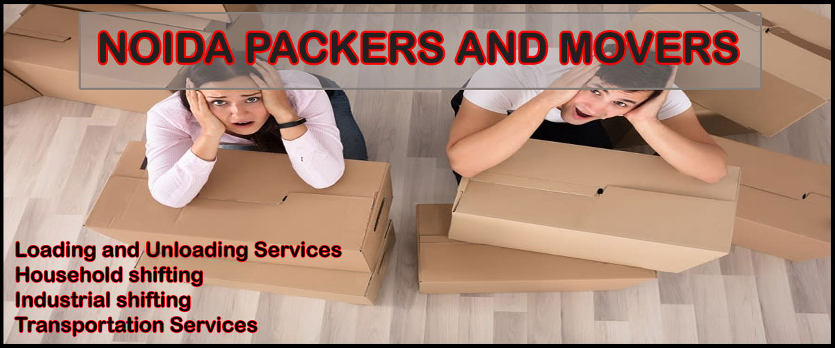 Noida Packers Movers Sector - 137