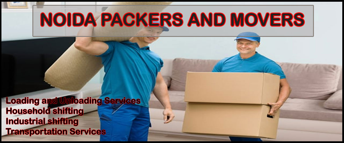 Noida Packers Movers Sector - 29
