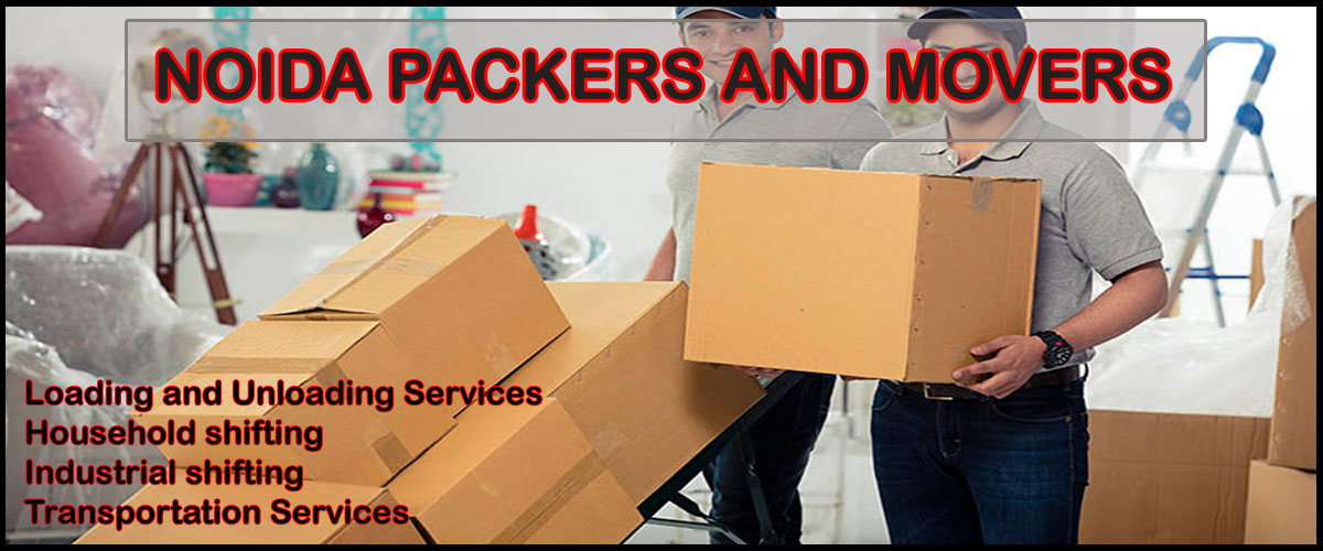 Noida Packers Movers Sector - 49
