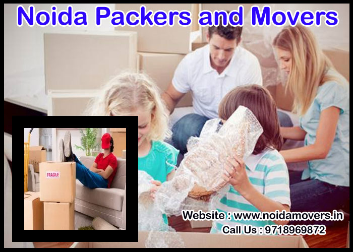 Noida Packers And Movers Sector 101