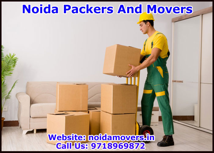 Noida Packers And Movers Sector 111