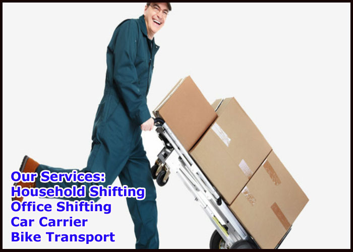 Noida Packers And Movers Sector 113