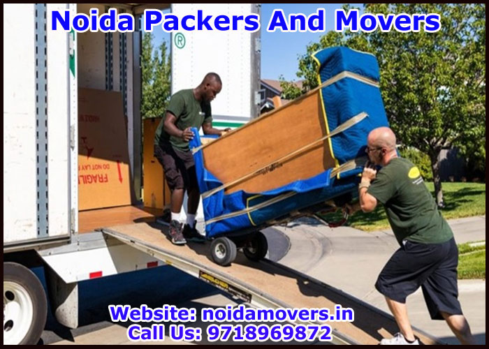 Noida Packers And Movers Sector 119