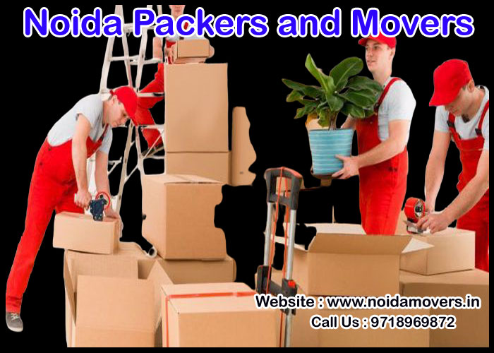 Noida Packers And Movers Sector 121