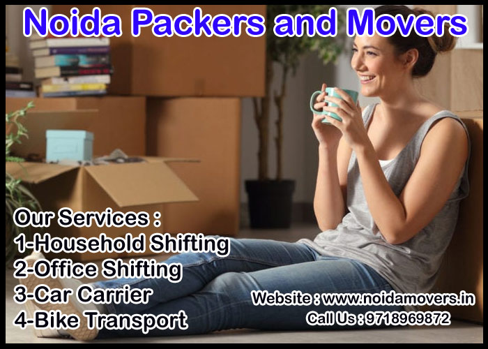 Noida Packers And Movers Sector 132