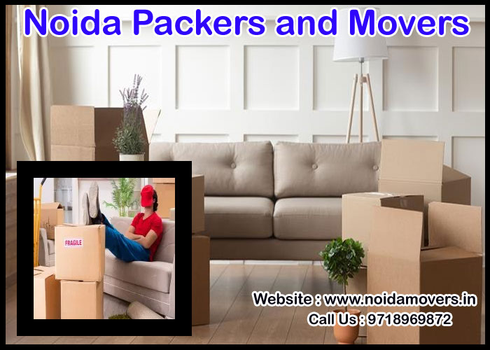 Noida Packers And Movers Sector 134
