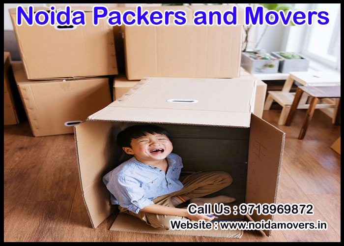 Noida Packers And Movers Sector 166