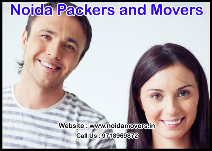 Noida Packers And Movers Sector - 20