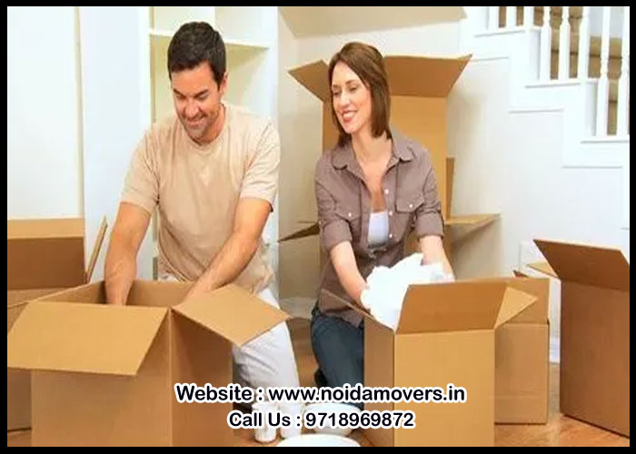 Noida Packers And Movers Sector - 29
