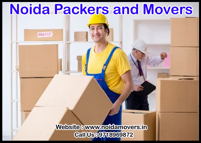 Noida Packers And Movers Sector 44