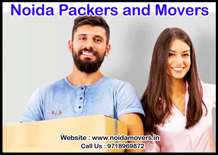 Noida Packers And Movers Sector 46