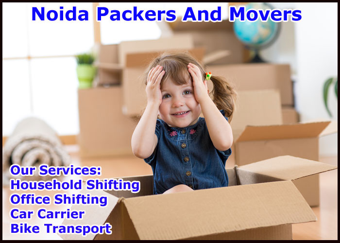 Noida Packers And Movers Sector 49