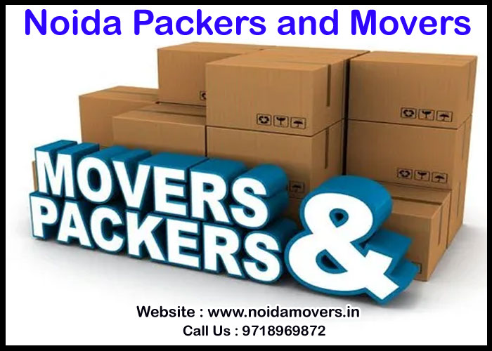 Noida Packers And Movers Sector 50