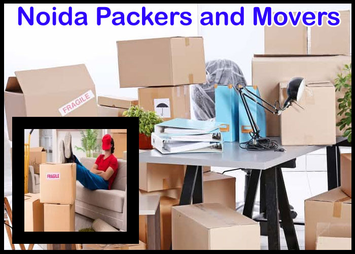 Noida Packers And Movers Sector 53