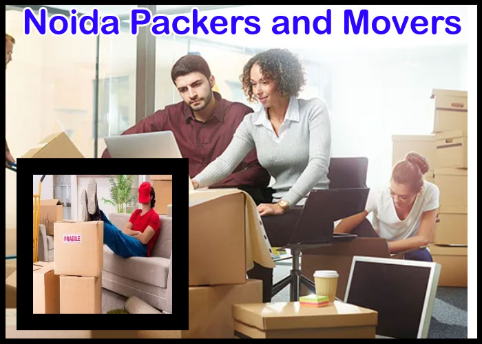 Noida Packers And Movers Sector 55