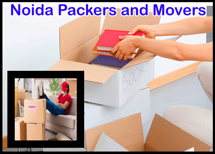 Noida Packers And Movers Sector 65