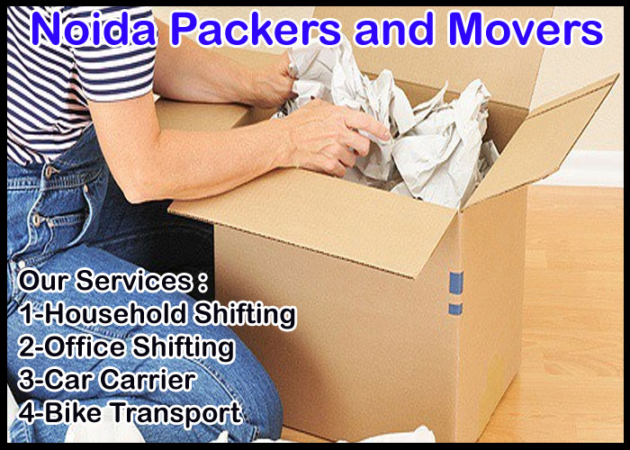 Noida Packers And Movers Sector 67