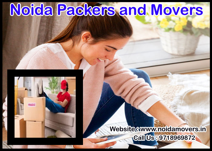 Noida Packers And Movers Sector 74