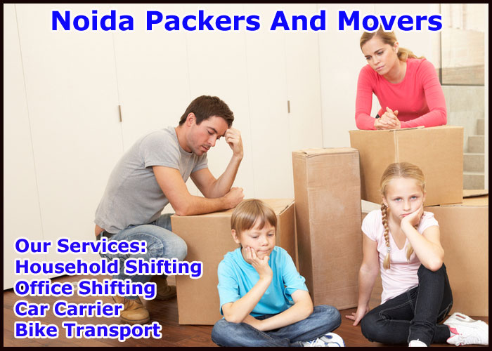Noida Packers And Movers Sector 79