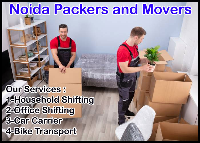 Noida Packers And Movers Sector 81