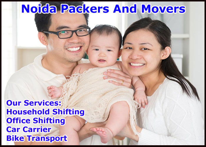 Noida Packers And Movers Sector 85