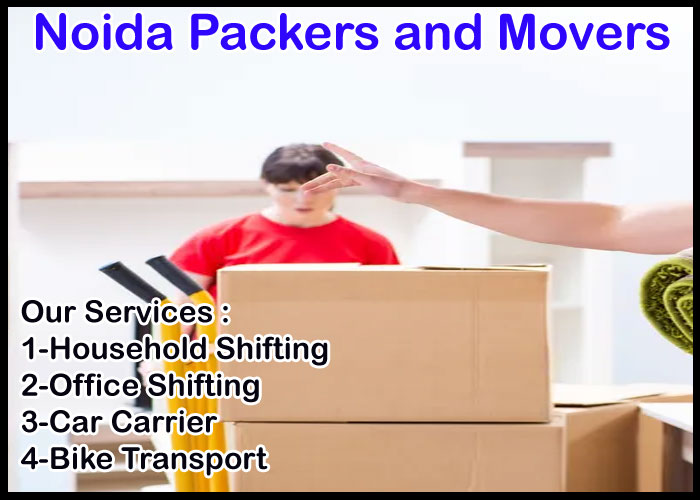 Noida Packers And Movers Sector 85