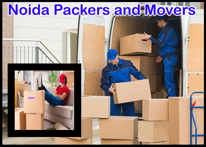 Noida Packers And Movers Sector - 9