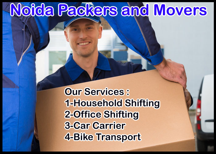 Noida Packers And Movers Sector - 11