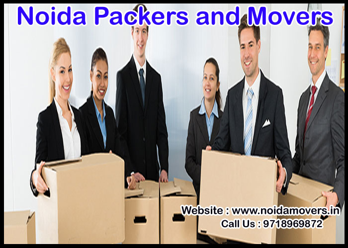 Noida Packers And Movers Sector 60